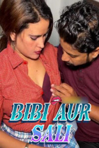 Bibi Aur Sali 2025 Hindi Uncut Short Films 720p HDSRN Download