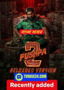 Pushpa 2 2025 Bengali Dubbed ORGE 720p WEB-TV-SRN 1Click Download