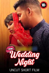 Wedding Night 2025 Hindi Uncut Short Films 720p HDSRN Download