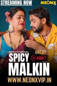 Spicy Malkin 2025 Hindi NeonX Short Films 720p HDSRN Download