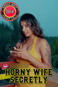 Horny Wife Secretly 2025 Hindi Uncut Short Films 720p HDRip 1Click Download