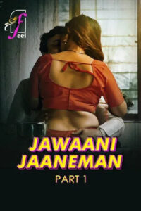 Jawaani Jaaneman 2025 Hindi Season 01 Part 01 Feel WEB Series 720p HDRip 1Click