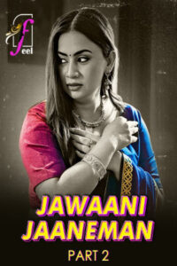 Jawaani Jaaneman 2025 Hindi Season 1 Part 2 Feel WEB Series 720p HDRip 1Click