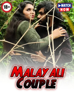 Malayali Couple 2025 Hindi Uncut Hot Short Film 720p HDRip